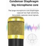 BM-800 Condenser Microphone Bundle with Voice Changer – Podcast Studio Kit for Laptop, Live Streaming, YouTube & TikTok - Image 3